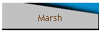 Marsh